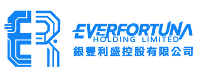 EVERFORTUNA HOLDING LIMITED